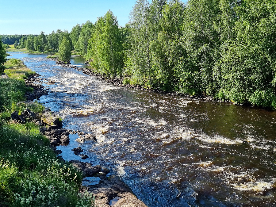 Alldeles i närheten av parken forsar Råneå älv förbi