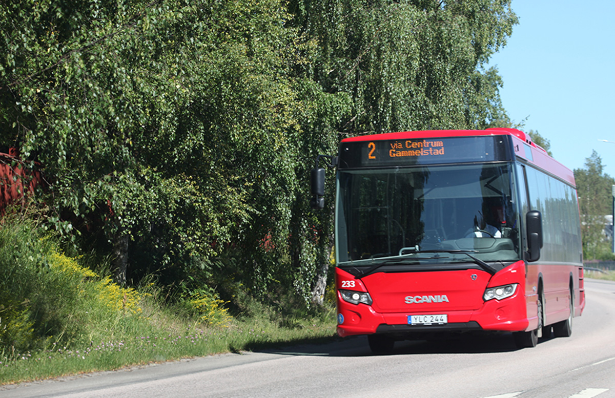 En röd LLT-buss i somrig miljö