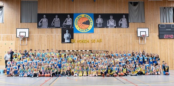 Lagbild Höken Basket