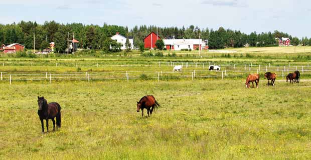 Landsbygdsutveckling bild