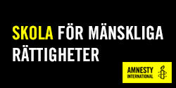 Skola för mänskliga rättigheter (Amnesty International)