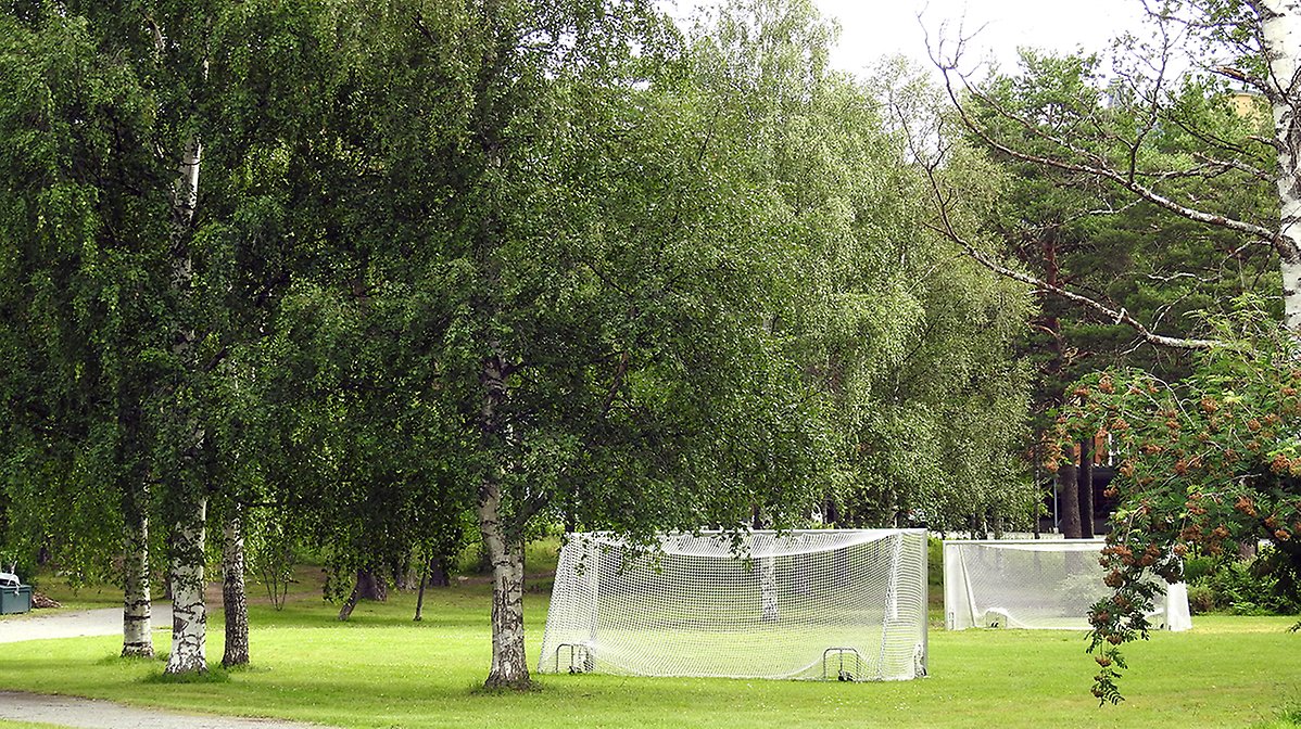 Två fotbollsmål är uppställda på gräsytan i parken